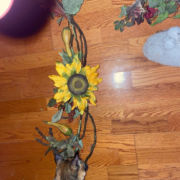 Florals - Picture 2 of 4